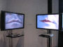 IMG_3412_t.gif