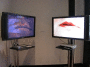 IMG_3413_t.gif