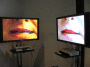 IMG_3427_t.gif