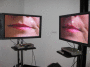 IMG_3429_t.gif