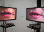 IMG_3430_t.gif