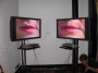 IMG_3431_t.gif