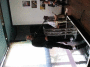IMG_3450_t.gif