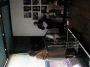 IMG_3454_t.gif